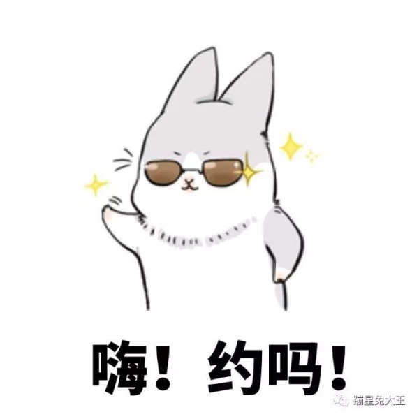 养只兔子做宠物怎么样,养兔子当宠物的注意事项和禁忌