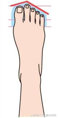 脚趾的形状还有这种说法，快来看看你属于第几种