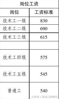 事业单位技师工资标准表,事业单位工资标准表教师