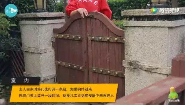 邻居说我家狗吓到他了怎么办,邻居狗咬人报警给警告处理吗