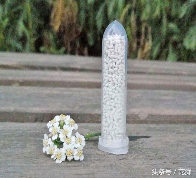 赶尽杀绝杀虫剂,如何赶尽杀绝白蚁