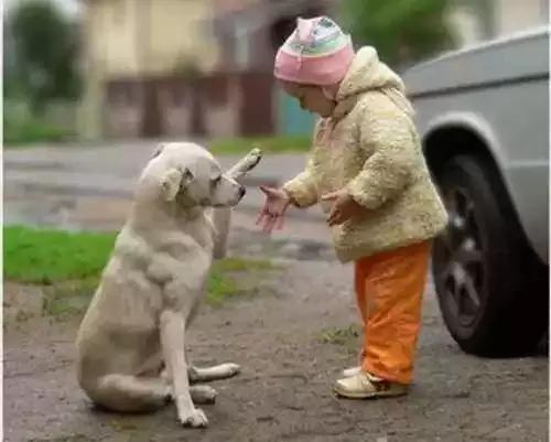 邻居说我家狗吓到他了怎么办,邻居狗咬人报警给警告处理吗