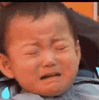 漳州五大名花十大名果,漳州最好的黄金果