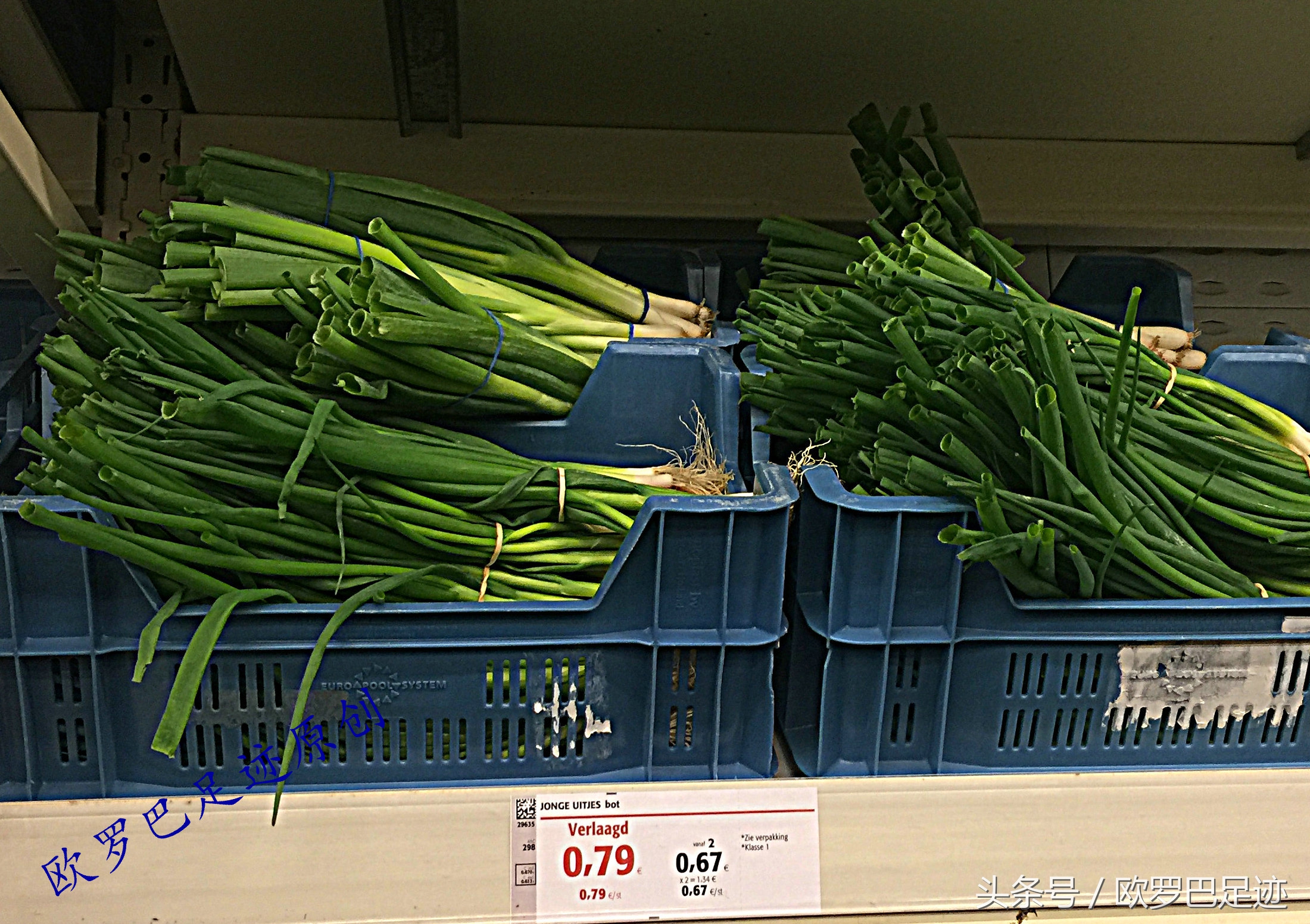 欧洲超市的价格太丧,pu心,da病,xi狂,ben……原创实拍