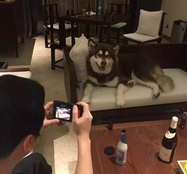 coco王思聪,王思聪名媛女友