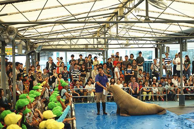 日本关西夏日赏——今夕传媒旅行家出品