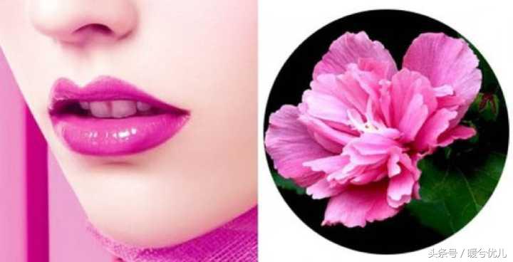 素颜口红颜色可以深吗,口红哪种好用适合素颜