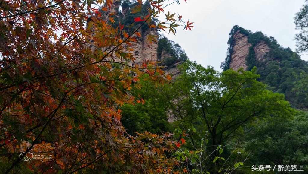 武陵源，秋之颂歌！