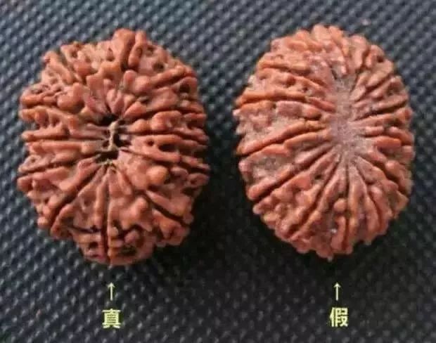 怎样区分打药的金刚菩提,金刚菩提怎么鉴别值钱