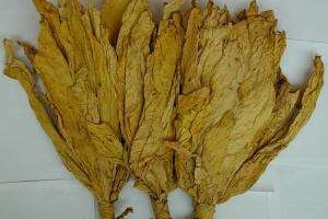 烟醉过后就很难戒烟了吗,吸了几十年烟现在戒烟来得及吗