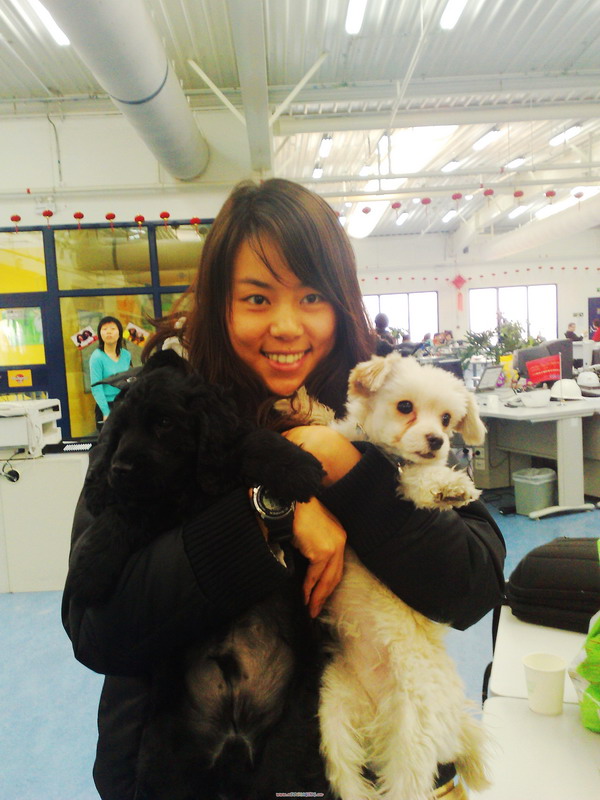 农村很多人不知道的养羊技术,一般人不知道的养殖项目