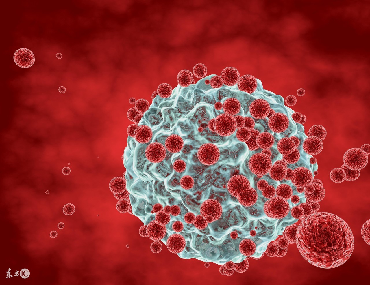 癌症放疗化疗用中医怎么调理身体,癌症病人化疗放疗过程