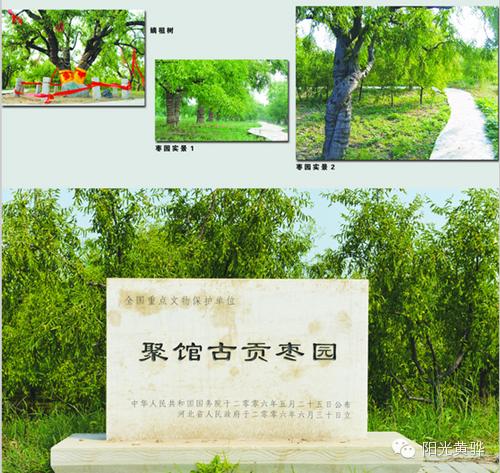 京沪高铁沿线主要站点及城市规模,京沪第二通道江苏段