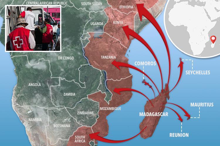 黑死病大爆发死亡人数,黑死病还在吗