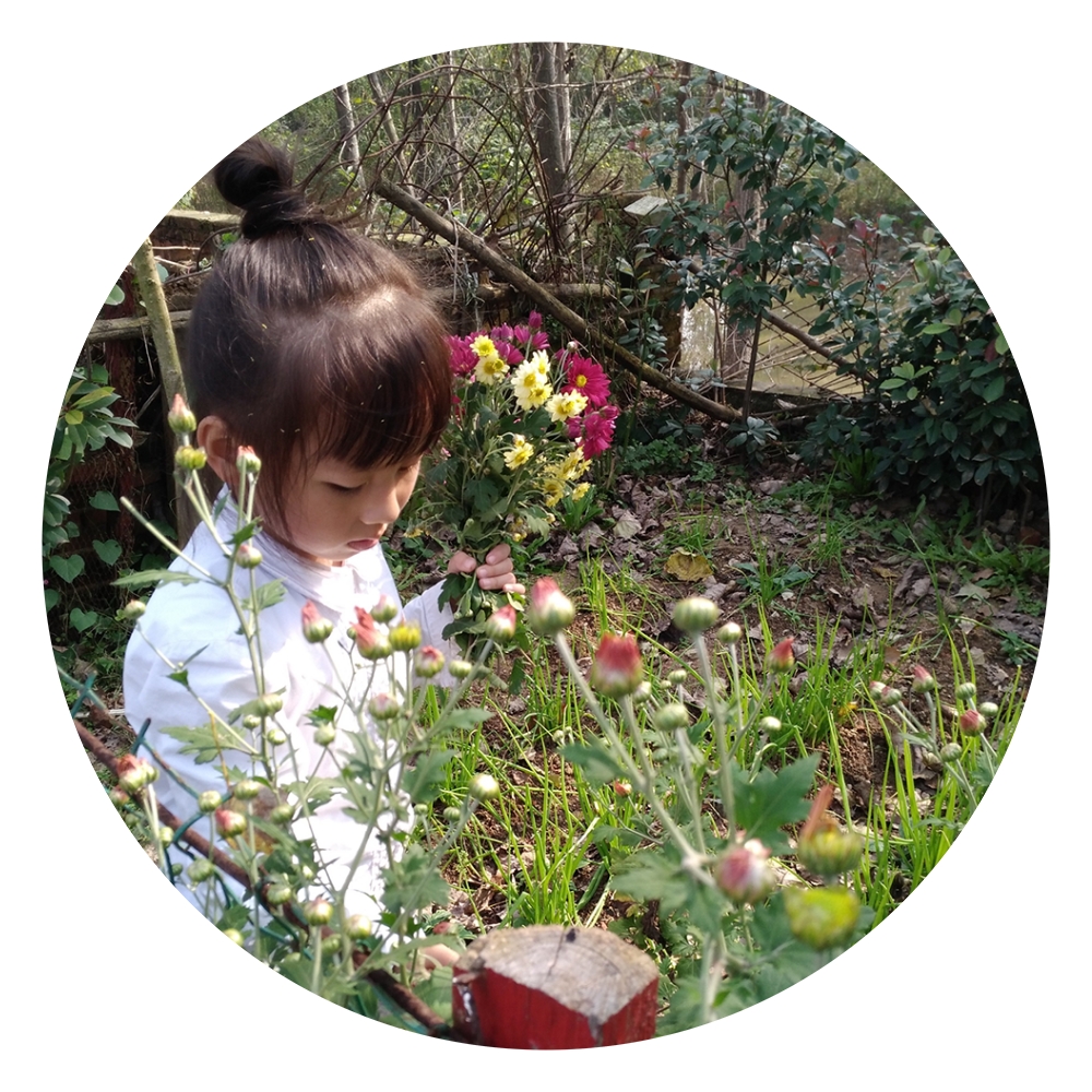 手绘古诗词过故人庄,古诗插画手绘图片题临安邸