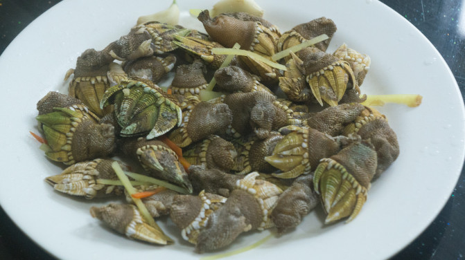 福鼎台山岛吃住行攻略,福鼎吃住行方便的地方