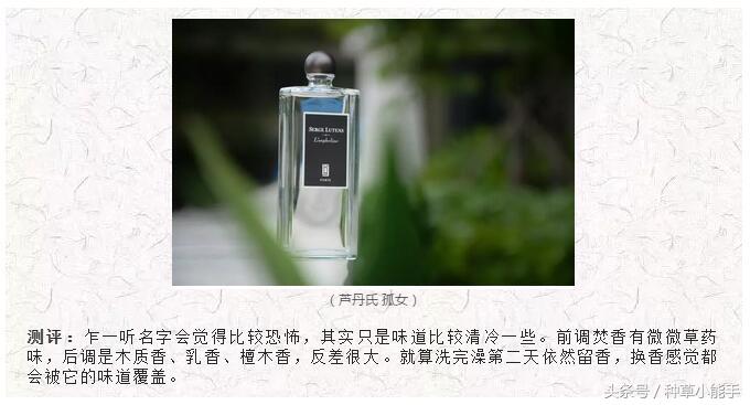 推荐几款无人能敌的香水,平价淑女风香水推荐