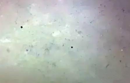 翡翠抛光粉作假怎么处理,抛光粉上色翡翠怎样鉴别