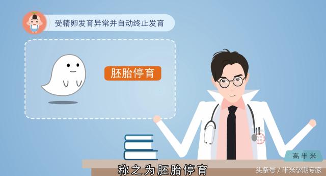 人工流产胚胎,胚胎停育人工流产后多久可以怀孕