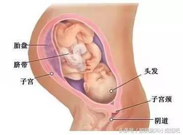 孕期b超能查出什么,整个孕期b超是阴超还是腹部b超