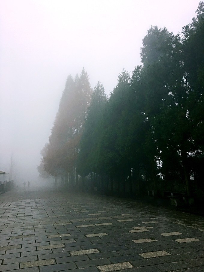 长沙张家界5天游,长沙张家界凤凰6天5晚品质游