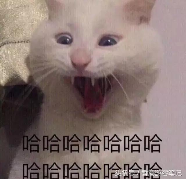 香港最火的潮鞋,香港最潮的鞋子