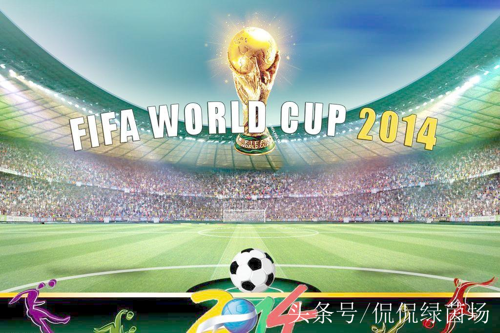 卡纳瓦罗什么时候进世界杯,卡纳瓦罗有没有世界杯