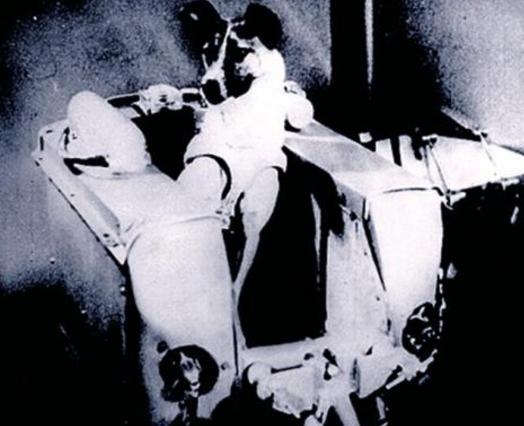 中国有哪些进入太空的动物,那些年登上太空的动物