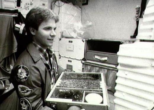 十种曾到过太空的动物,中国有哪些进入太空的动物