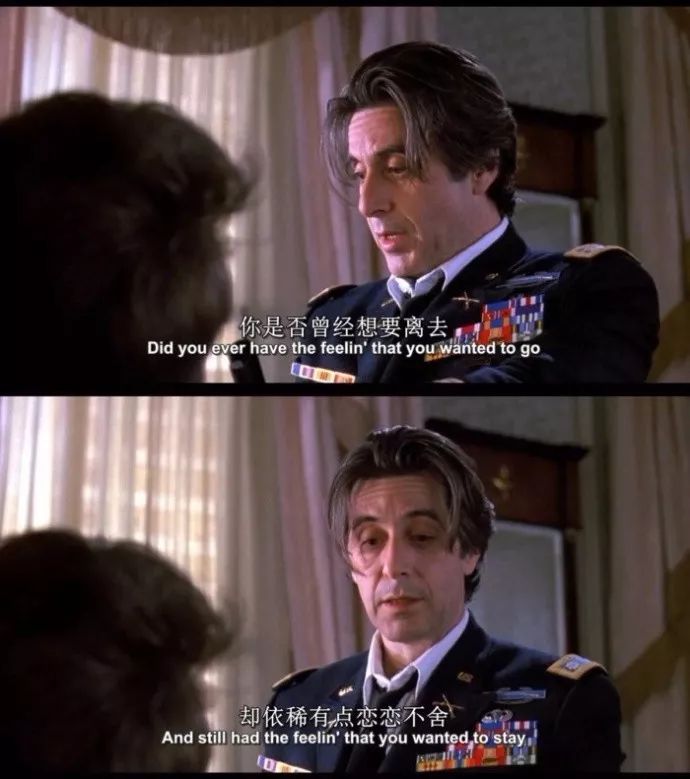 你的双十一够香了吗,双十一没买你真的亏了吗