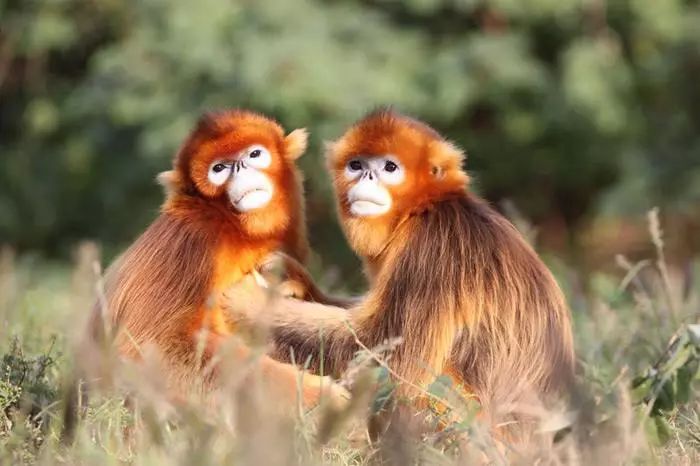 上海各个景点及路线图,上海周边公交车地铁可以到的景点