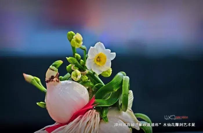 水仙花的造型艺术图片,水仙花的花语传说与诗词鉴赏