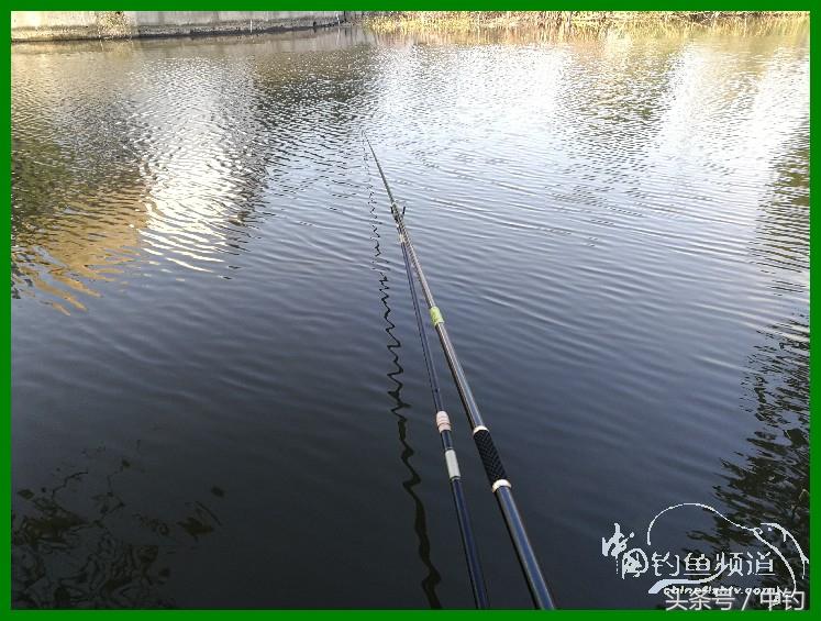 爽钓渔具,爽钓黄金版
