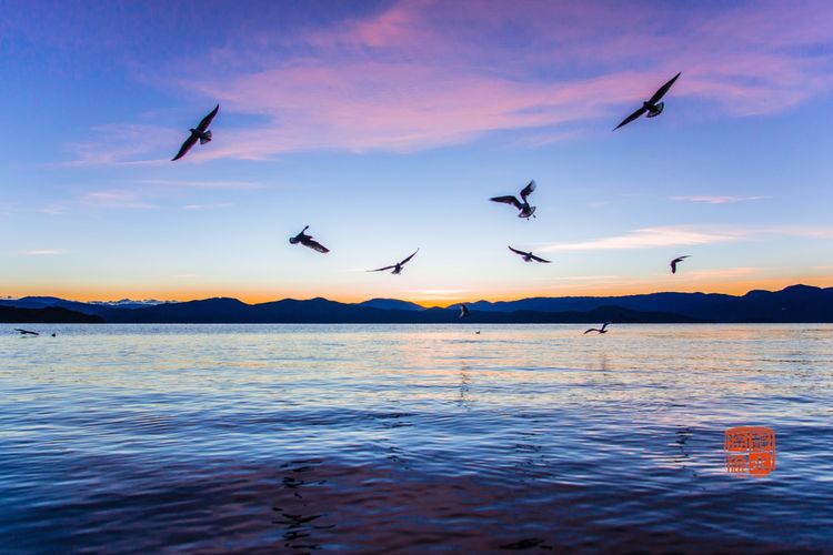 泸沽湖洗涤心灵的纯净之地,泸沽湖迷人的倒影