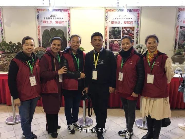 公认最美4种多肉植物图片,2014年上海多肉植物展图片