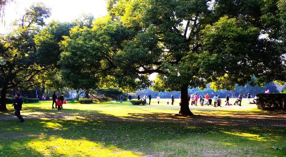 上海松江未来地铁线路图2025超清,上海各区旅游地铁线路图