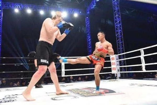 中国自由格斗高手排名,中国自由搏击十大名将