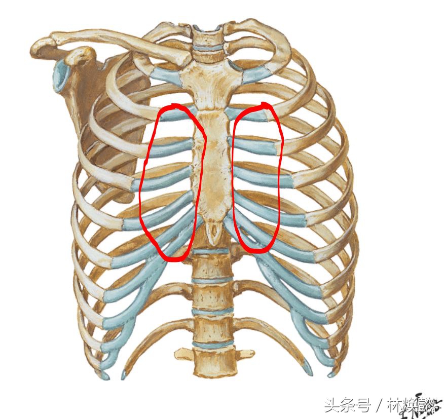 心肺复苏按断老人12根肋骨,如何判断断了一根肋骨