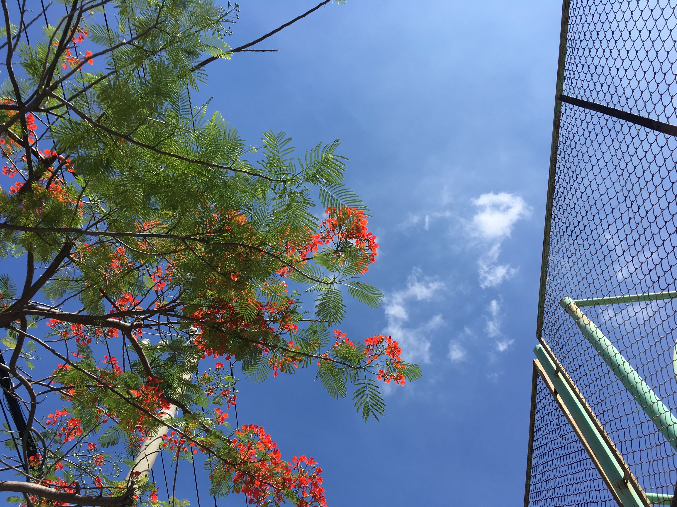 越南岘港两日游,越南岘港3日游