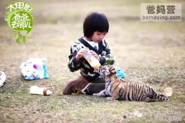 江浙沪十佳亲子酒店,适合亲子酒店推荐