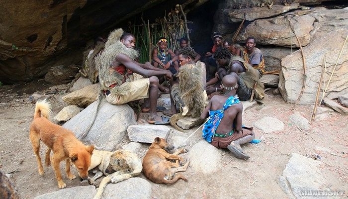 比起在座的诸位它才是一条真“索狗”