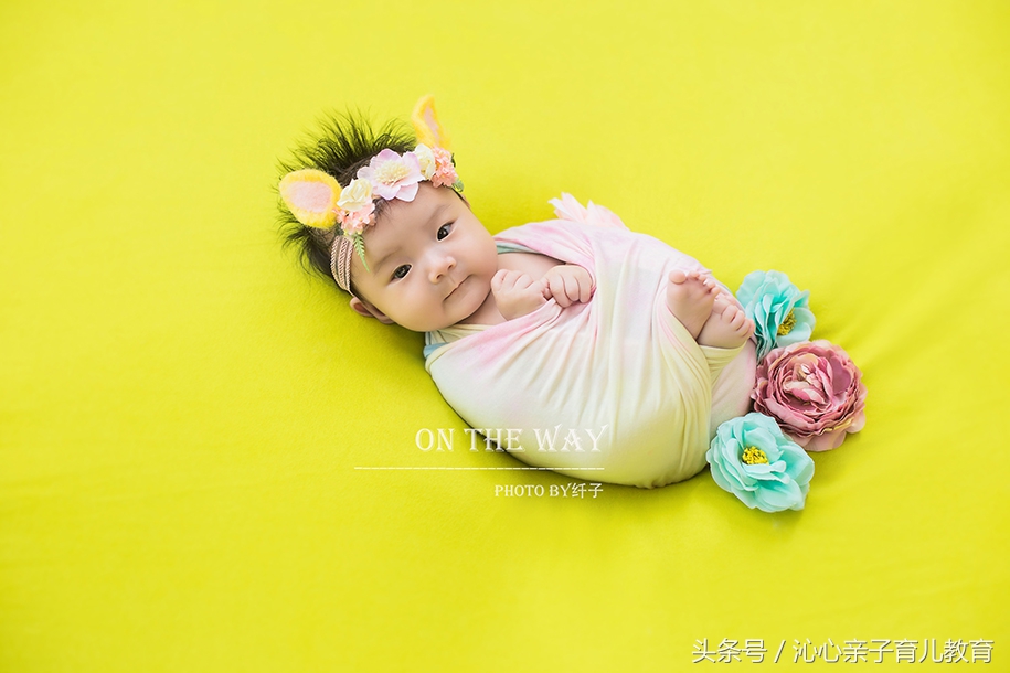 孕期知识育儿经验分享,孕早期怎么保证宝宝的健康