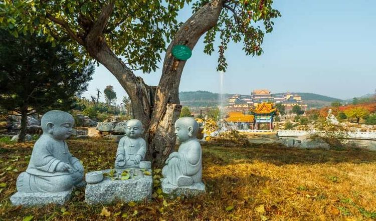 金秋沂南,诗意流淌有那么一群爱美的人,把秋季沂南送到你面前