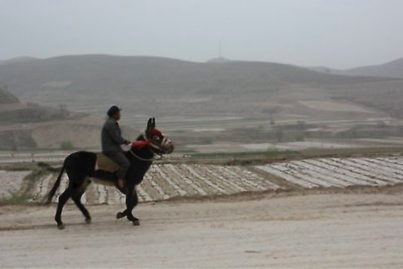 甘肃赏田园风光感受乡村魅力,甘肃渭源风景图片大全