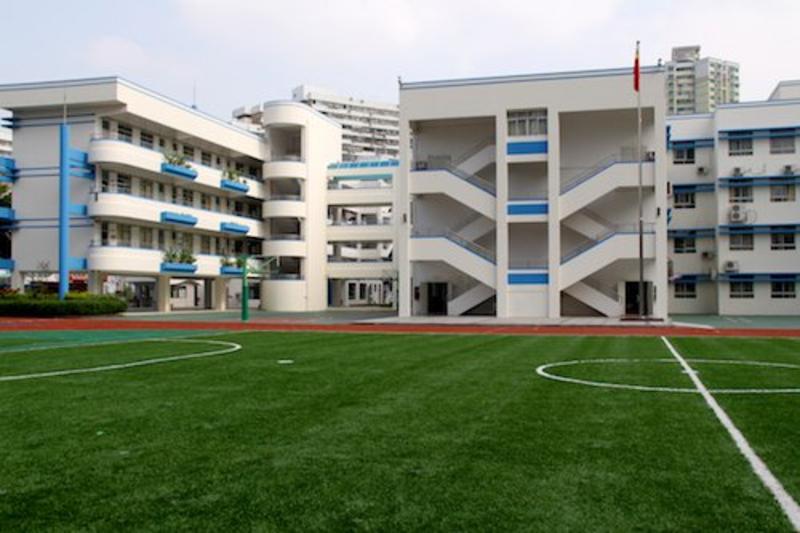 赞!全国瞩目的大会上,深圳这些单位和学校受到中央表彰