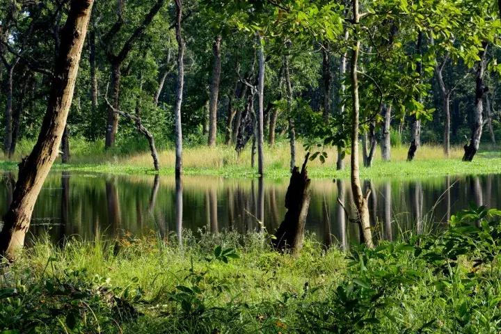 没去过尼泊尔旅游,没有去过西藏更没去过吉隆坡