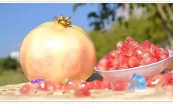 大红河视频,大红河