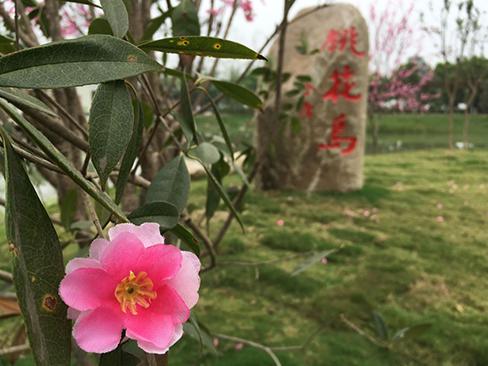 四季童耕瓜牛公园燕域……合肥这些小众乐园你肯定不知道！