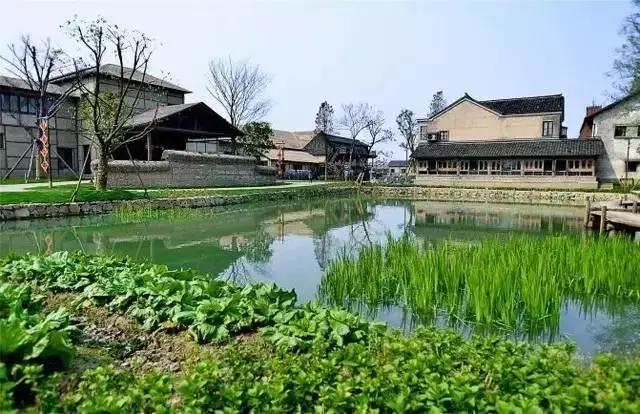 乌村生态园,乌山农家乐和休闲农庄