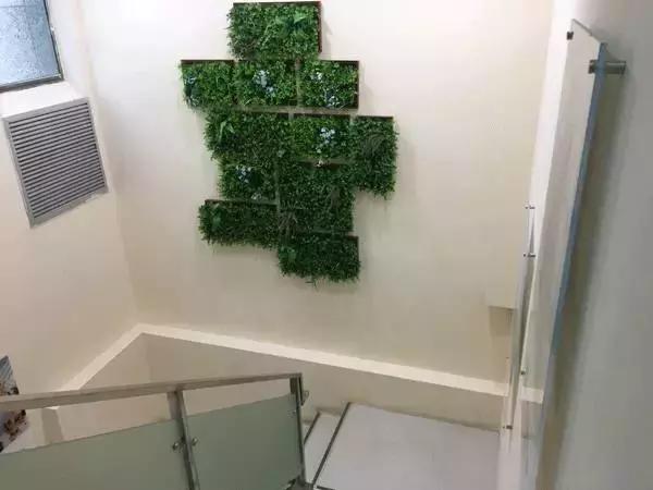 中国为什么没有正规的宠物医院,国内靠谱的宠物医院